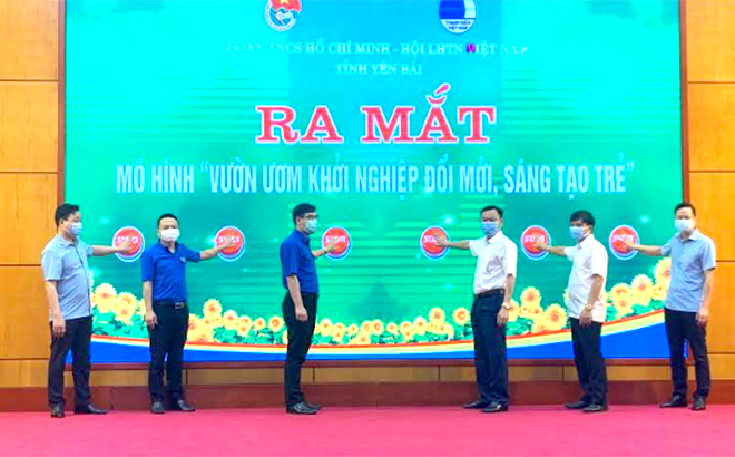 Các đại biểu ấn nút khai trương mô hình 