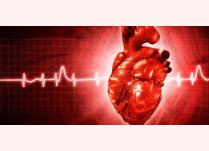 Một trong những nguyên nhân gây tử vong lớn nhất trên thế giới là bệnh tim.