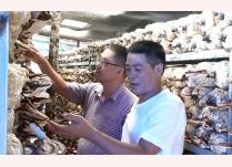 Ông Tạ Quang Nhi (áo trắng) đang giới thiệu về quy trình sản xuất nấm Linh chi đỏ.