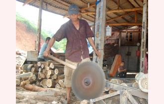 Tai nạn lao động tại xưởng gỗ ở Lương Thịnh: Cần giải pháp hữu hiệu