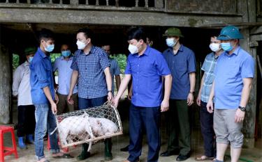 Bí thư Huyện ủy Yên Bình An Hoàng Linh trao hỗ trợ lợn giống cho gia đình anh Hoàng Văn Hợi, thôn Ngòi Sọng, xã Xuân Long.
