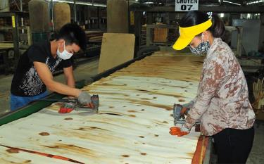 Workers of Juma Yen Bai JSC in Xuan Ai commune, Van Yen district, boost production at the end of the year.