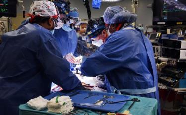 Bác sĩ phẫu thuật ghép trái tim lợn biến đổi gene cho bệnh nhân đầu tiên, tại Trung tâm Y tế Đại học Maryland, Mỹ, ngày 7/1.