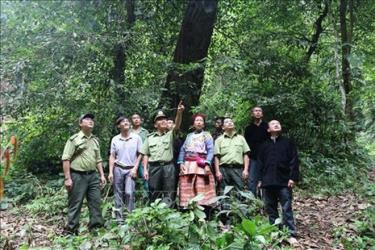 Cán bộ kiểm lâm huyện Văn Yên tuyên truyền người dân nâng cao ý thức bảo vệ rừng.