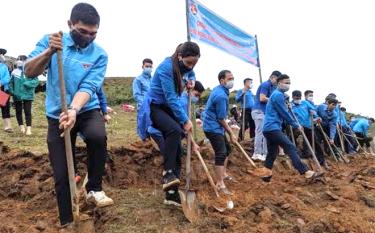 Đoàn viên thanh niên xã Xuân Tầm giúp nhân dân khai hoang ruộng bậc thang.