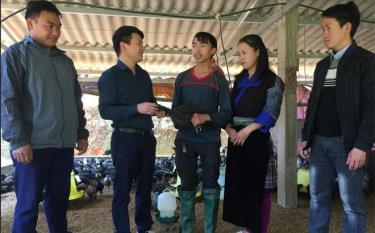 Bí thư Đảng ủy xã Púng Luông - Phạm Đức Thịnh thăm mô hình nuôi gà đen của đảng viên Vàng A Công - Chi bộ bản Mý Háng Tâu.