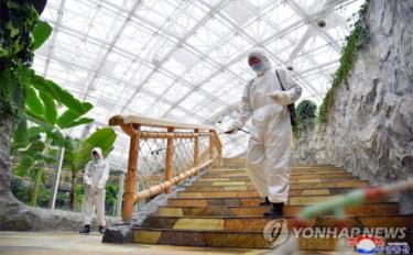 Nhân viên y tế phu khử khuẩn tại một sở thú ở Hàn Quốc.
