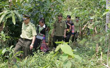 Leaders and officials from the Van Chan District Forest Protection Department and local people inspect forest protection efforts.