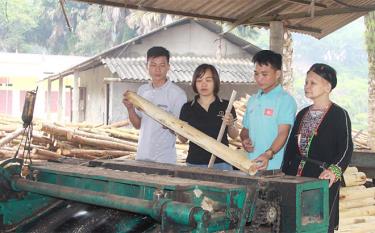 Các hộ dân thôn Khe Cạn liên kết thành lập tổ hợp tác trồng, chế biến gỗ xuất khẩu.