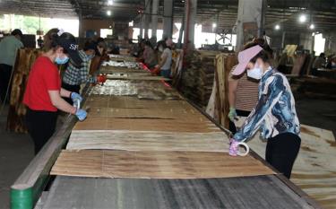 Sản xuất ván ép tại Công ty cổ phần JUNMA Yên Bái.
