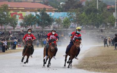 Giải đua ngựa truyền thống Bắc Hà là điểm nhấn chính của festival.