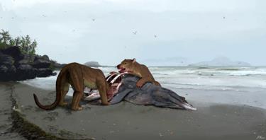 Loài chó lai gấu khổng lồ đang săn một con thú lớn bên bờ biển nước Pháp 12 triệu năm trước - Ảnh: DENNY NAVARRA
.