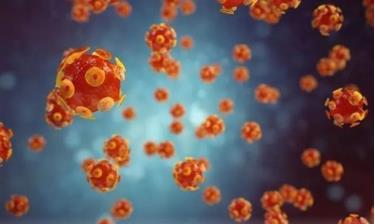 Hình ảnh mô phỏng virus gây bệnh viêm gan.