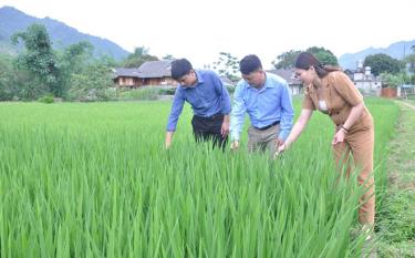 Lãnh đạo xã Đồng Khê, huyện Văn Chấn kiểm tra tình hình phát triển sản xuất tại Chi bộ thôn Ao Sen.