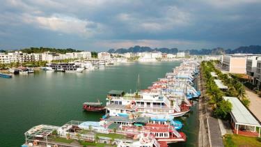 Quảng Ninh tạm ngừng cấp phép cho các phương tiện thủy, tàu thuyền du lịch biển, lưu trú qua đêm tại các điểm du lịch trên biển, bắt đầu từ 12 giờ ngày 10/8.