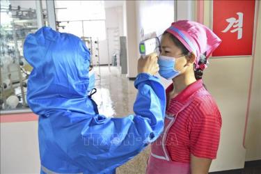 Kiểm tra thân nhiệt của công nhân tại một nhà máy ở Bình Nhưỡng, Triều Tiên, ngày 10/6/2022.