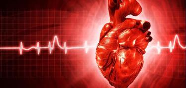 Một trong những nguyên nhân gây tử vong lớn nhất trên thế giới là bệnh tim.