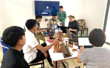 Mô hình Hợp tác xã Bình An Coop, xã Đại Sơn, huyện Văn Yên do thanh niên làm chủ mang lại hiệu quả kinh tế cao.