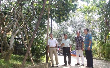 Ông Phạm Thanh Sơn (thứ 2, trái sang) chia sẻ kinh nghiệm trồng bưởi cho hiệu quả kinh tế cao của gia đình.